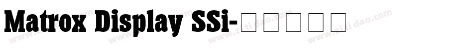 Matrox Display SSi字体转换